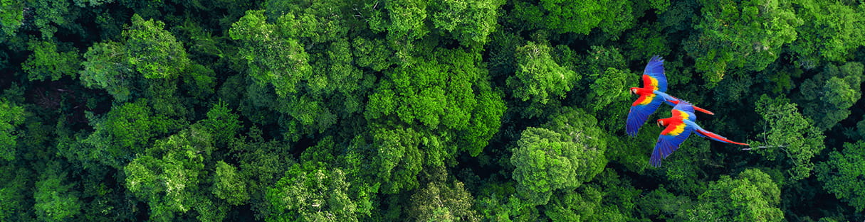 환경과 지속가능성