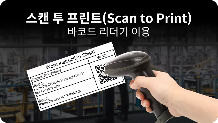Scan to Print