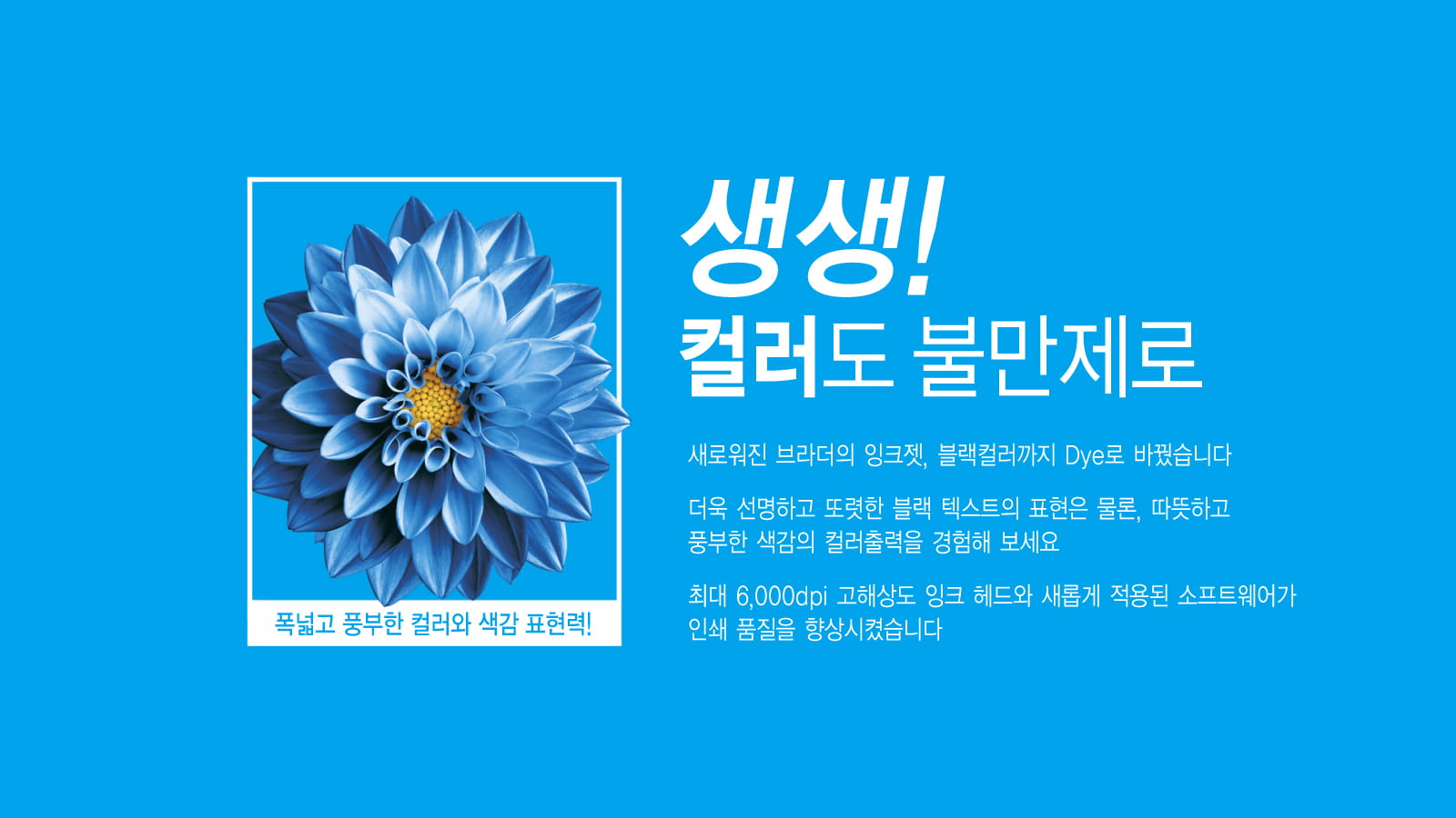 Tab Image-01